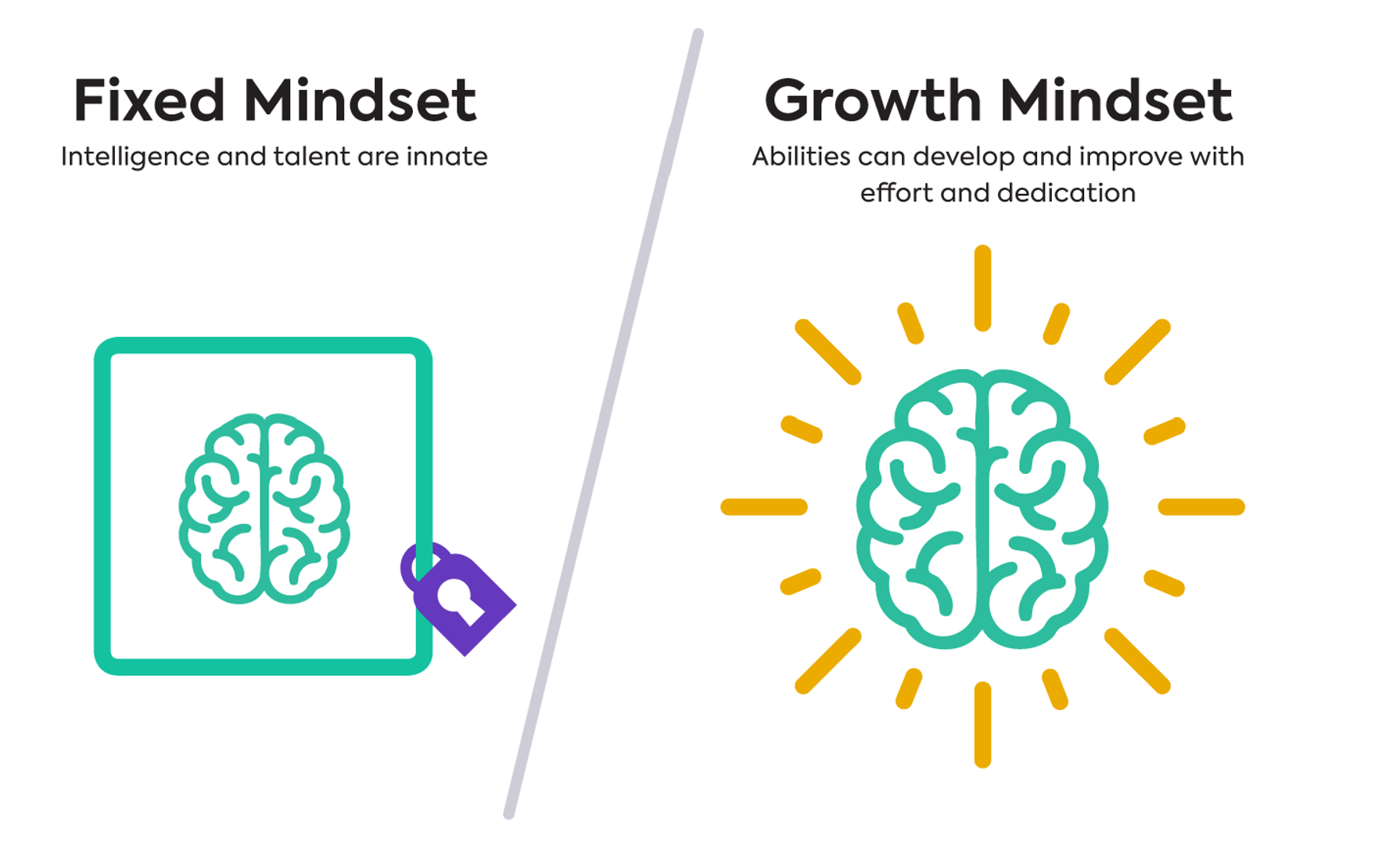 Growth and Fixed Mindset